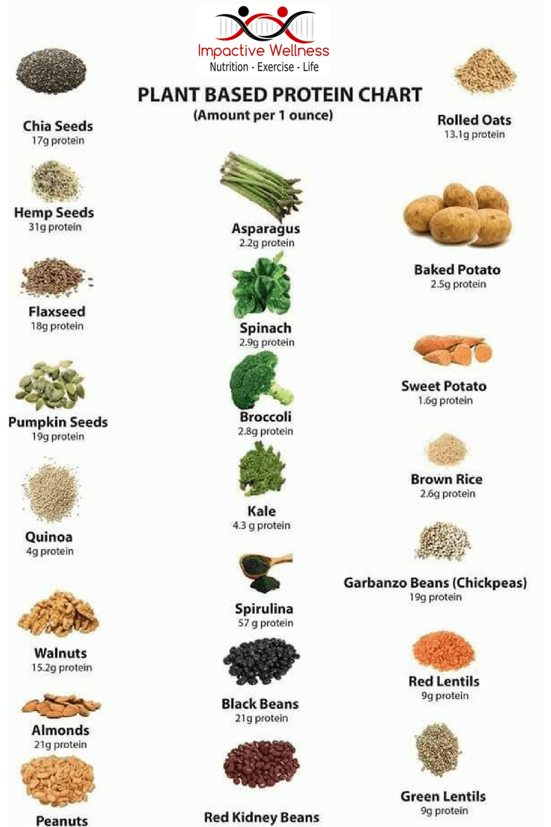Plant Based Protein Chart